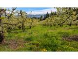 5524 Binns Hill Dr - Photo 41