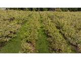 5524 Binns Hill Dr - Photo 42