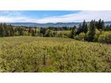 5524 Binns Hill Dr - Photo 43