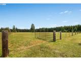 241 Minkler Rd - Photo 43