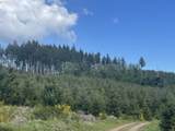  Rock Creek Rd - Photo 2