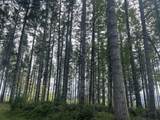  Rock Creek Rd - Photo 6