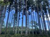 Rock Creek Rd - Photo 7
