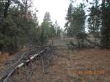  Keeney Fork Rd. - Photo 14