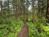 8520 Monticello St - Photo 46