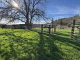 1550 Hwy 97 - Photo 12