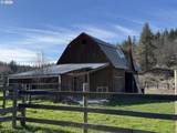 1550 Hwy 97 - Photo 14