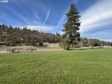 1550 Hwy 97 - Photo 8