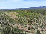  Nka Thompson Trail - Photo 2