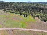  Nka Thompson Trail - Photo 24