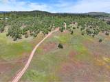  Nka Thompson Trail - Photo 39
