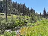  Nka Thompson Trail - Photo 40