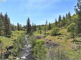  Nka Thompson Trail - Photo 5