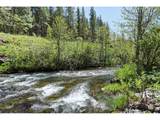  Nka Thompson Trail - Photo 8