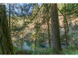 313 353RD Ave - Photo 12