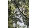 313 353RD Ave - Photo 14