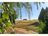11795 Finn Hill Loop - Photo 39