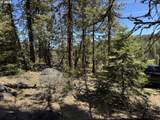  Horned Owl Ln - Photo 10