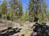  Horned Owl Ln - Photo 11