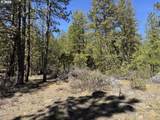  Horned Owl Ln - Photo 12