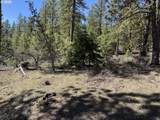  Horned Owl Ln - Photo 13