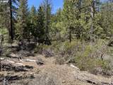  Horned Owl Ln - Photo 15