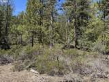  Horned Owl Ln - Photo 16