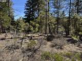  Horned Owl Ln - Photo 17