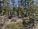  Horned Owl Ln - Photo 18