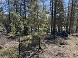 Horned Owl Ln - Photo 19