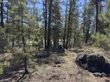  Horned Owl Ln - Photo 20