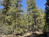  Horned Owl Ln - Photo 21