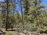  Horned Owl Ln - Photo 22