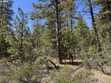  Horned Owl Ln - Photo 23