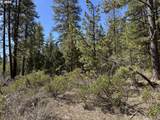  Horned Owl Ln - Photo 24