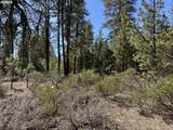  Horned Owl Ln - Photo 25