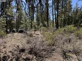  Horned Owl Ln - Photo 26