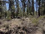  Horned Owl Ln - Photo 27