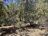  Horned Owl Ln - Photo 28