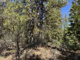  Horned Owl Ln - Photo 29