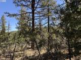  Horned Owl Ln - Photo 30