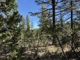  Horned Owl Ln - Photo 31