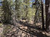  Horned Owl Ln - Photo 32