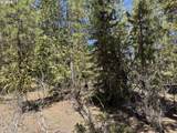 Horned Owl Ln - Photo 33