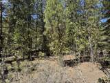  Horned Owl Ln - Photo 34