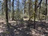  Horned Owl Ln - Photo 35
