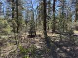  Horned Owl Ln - Photo 36