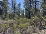  Horned Owl Ln - Photo 39