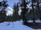  Horned Owl Ln - Photo 44