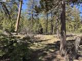  Horned Owl Ln - Photo 5